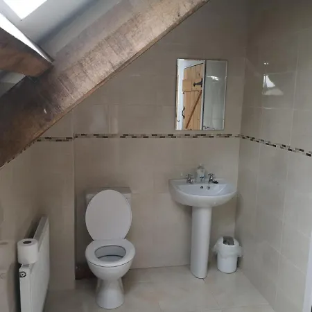 別荘 Lovely 3-bed House At Clashganny Mill Borris カーロー