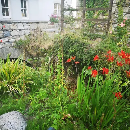 Lovely 3-bed House At Clashganny Mill Borris *